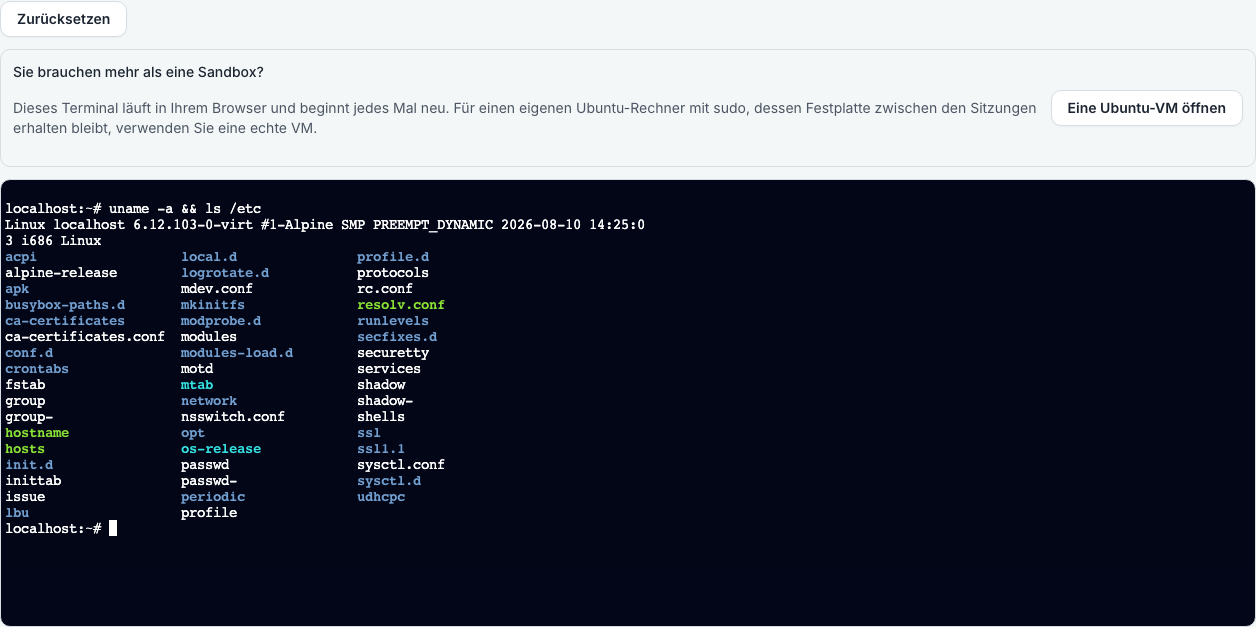 Eine Linux-Shell im Browser mit der Ausgabe von uname und einer Verzeichnisliste von etc