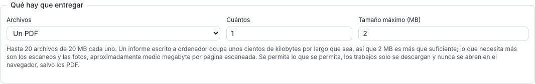 El ajuste «Qué hay que entregar» de un trabajo escrito: qué tipo de archivo, cuántos y de qué tamaño