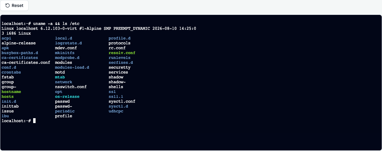 A Linux shell in the browser showing the output of uname and a directory listing of etc