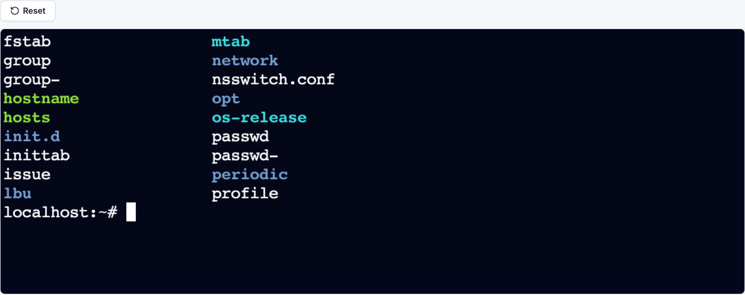 A Linux terminal in the browser, with a shell prompt and the output of a command